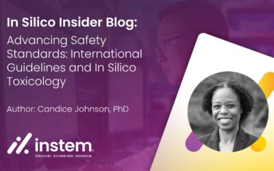 Advancing Safety Standards: International Guidelines and In Silico Toxicology