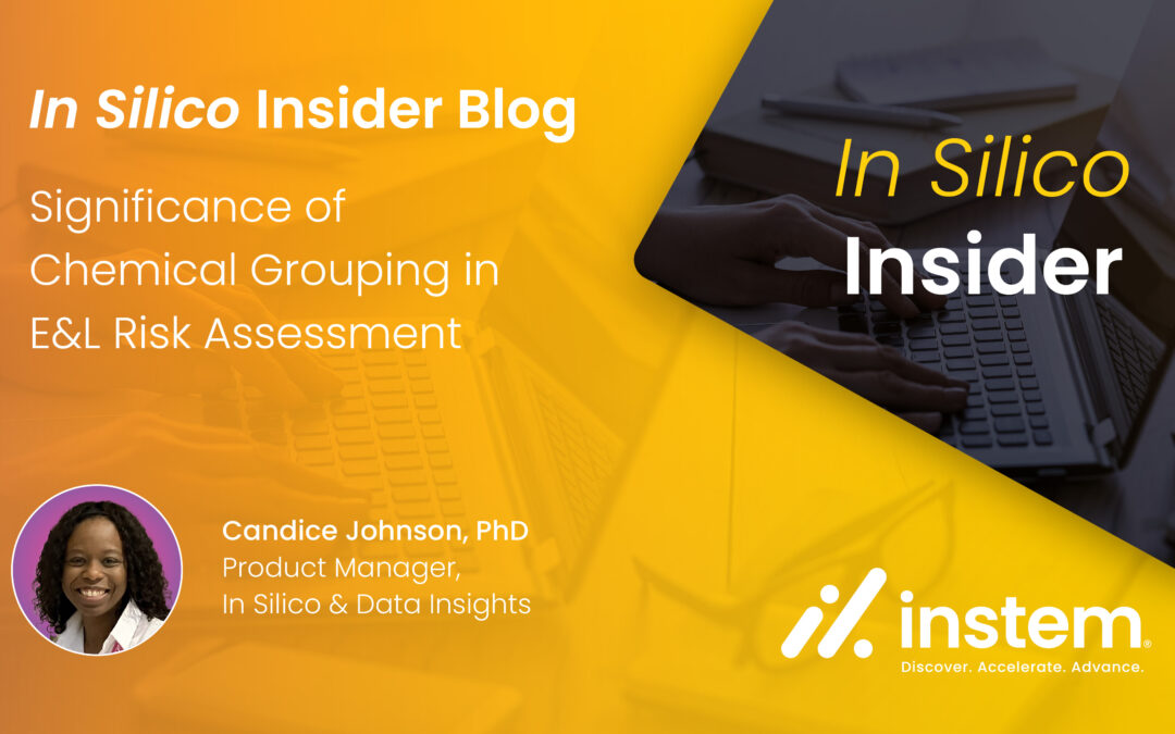Significance of Chemical Grouping in E&L Risk Assessment 