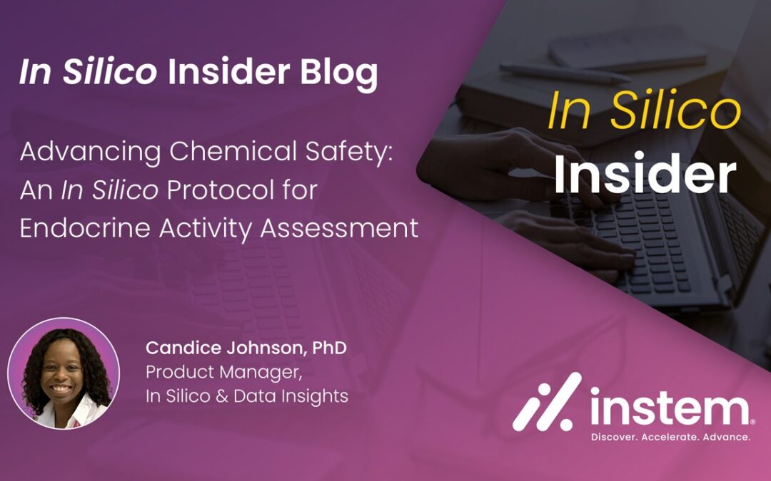 Advancing Chemical Safety: An In Silico Protocol for Endocrine Activity Assessment 